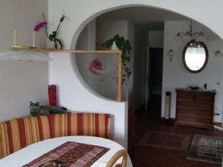 Esszimmer mit geschwungenen Elementen in Erle