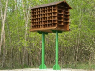 Taubenhaus im Donaubereich zur Taubenabwehr