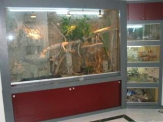 Terrarium raumhoch mit untenliegendem Aquarium